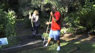 How to Kill Insects in Your Garden with Safer® Brand Organic Pest Control [upl. by Ferree]