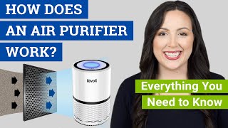 How Does an Air Purifier Work Do Air Cleaners Really Work to Remove Dust Mold and Allergens [upl. by Nylacaj]