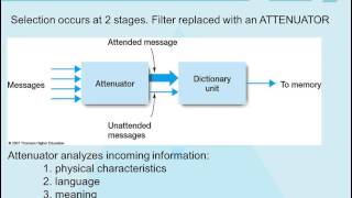 Theories of Attention [upl. by Conroy]