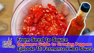 How to make Fermented Hot Sauce [upl. by Gilda]