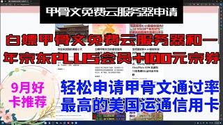 白撸甲骨文云免费服务器和京东一年的pluse会员100元京东券，申请通过率最高的信用卡美国运通银行信用卡，搭建Oracle CloudVPSV2RAYXUIREALITY科学上网梯子 [upl. by Hitchcock]