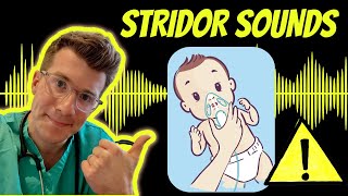 Doctor explains Stridor with real examples of sounds plus causes treatment and warning signs [upl. by Arimahs457]