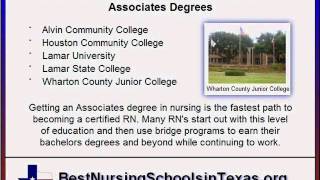 Nursing Schools in Houston Texas  Top RN amp LVN Programs Revealed [upl. by Cathlene]