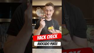 Checking Avocado Puree Hack [upl. by O'Grady828]