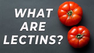 Lectins  What are they [upl. by Tarr50]