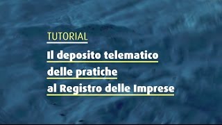 Il deposito telematico delle pratiche al Registro delle Imprese [upl. by Owain471]