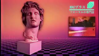 Macintosh Plus  リサフランク420  現代のコンピュー Karapka Remix [upl. by Enimsay]