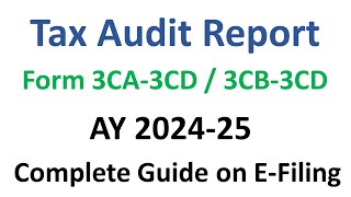 Tax Audit Report under section 44AB for AY 2024 25  3CA3CD  3CB3CD  Income Tax [upl. by Kubetz]