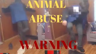 Youtuber that killed his catDisturbing Video [upl. by Nosirb]