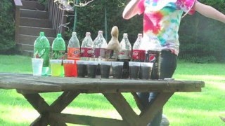 Soda and Mentos Experiment [upl. by Silloh844]