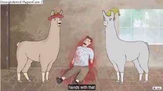 CAAAARRLL Llamas with hats slowed down D [upl. by Esilahc]