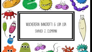 Wuchereria Bancrofti amp Loa Loa [upl. by Annadiana629]