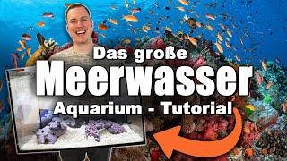 Das Meerwasseraquarium TUTORIAL  Keine Ahnung Kein Problem LOWBUDGET  Nachhaltig [upl. by Maddis]