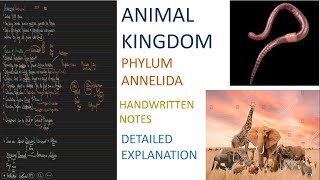 PHYLUM ANNELIDA ANIMAL KINGDOM PART 7 For Class 11  NEET 2025  NEET 2026  🦮🦨🐿️ [upl. by Eannej194]