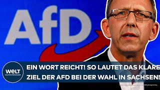 SACHSEN Nur ein Wort reicht So lautet das klare Ziel der AfD bei der Landtagswahl im September [upl. by Portingale430]