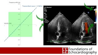 Level 1 Video Lecture Colour Doppler [upl. by Also]