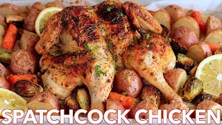 Roasted Spatchcock CHICKEN Recipe  ONE PAN Chicken Dinner [upl. by Naltiac]