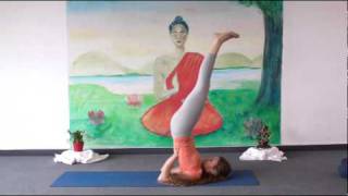 Beginners Yoga Class 20 Minutes [upl. by Eniruam]