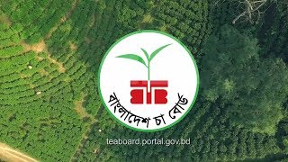 BANGABADHU amp BANGLADESH TEA BOARD [upl. by Lednic]