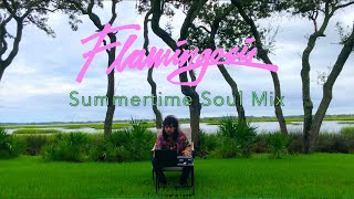 Flamingosis  Summertime Soul DJ Mixtape [upl. by Humble]