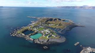 Scotlands Easdale Island Nature and Wildlife [upl. by Cheke]