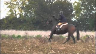 Waveney Harriers chase Hares  Saturday 24th October 2015 [upl. by Enylcaj]