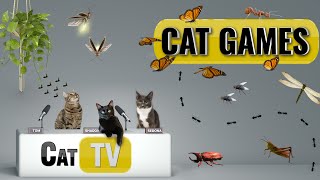 CAT Games  Ultimate Cat TV Bugs and Butterflies Compilation Vol 7 🐝🐞🦋🦗🐜  Videos For Cats to Watch [upl. by Alon661]