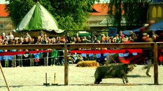 OsterRitterfest Zitadelle Spandau 2014 [upl. by Nunci144]