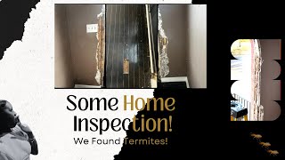 We Found Termites In Our New Home How did the home inspector miss this [upl. by Boothe]