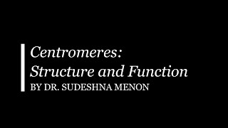 Centromere Structure and Function [upl. by Akinirt]