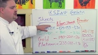 Understanding Gelatin Sheets V Powder Pt 1 of 3 [upl. by Pickett]