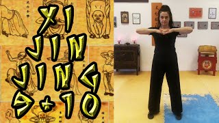 Yi Jin Jing  Qi Gong 910 ZUM MITMACHEN [upl. by Avi]