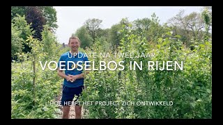 update voedselbos in rijen [upl. by Terle2]