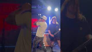 Kublai Khan TX Live Sol Bar Sunshine Coast [upl. by Christie]