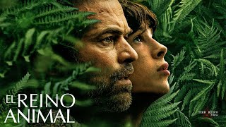 El Reino Animal  Trailer Oficial Subtitulado [upl. by Nesyrb143]