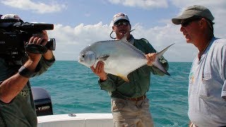 Monster Permit Fishing on Live Crabs off of Marco Island Florida [upl. by Reppiks]