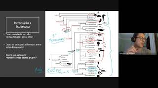 Introdução a Ecdysozoa [upl. by Lucas]