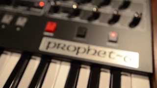 Sequential DSI Prophet6 Demo [upl. by Rattan]