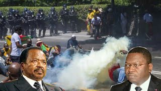 Ça chauffe a Génève Ferdinand Ngoh Ngoh livre Paul Biya a la BAS voici la video qui choque le pays [upl. by Animrac]