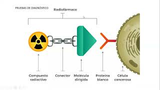 Técnicas de diagnóstico molecular de las enfermedades genéticas 1ra parte [upl. by Atinid727]