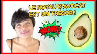 voici tout ce que vous ne saviez pas sur le noyau davocat 🥑 [upl. by Ferneau162]