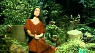 Muppets  Rita Coolidge  Close the window [upl. by Yddub]