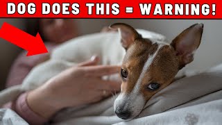 9 Signs Your Dog Hasnt Imprinted on You  Act Before Its Too Late [upl. by Anchie]