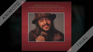 Chuck Mangione  Feels So Good 45 single  1978 AC 1 [upl. by Emarie]