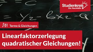 Faktorisieren Ausklammern Achtung Binome  Mathe by Daniel Jung [upl. by Moyra]