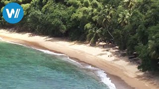 Tobago traveldocumentary from the season quotCaribbean Momentsquot [upl. by Ennaxxor]