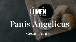 Panis Angelicus  Cesar Frank [upl. by Amolap]