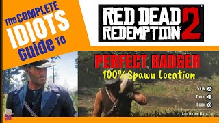 100 Spawn PERFECT BADGER PELT  Idiots Guide to RDR2 [upl. by Rab448]