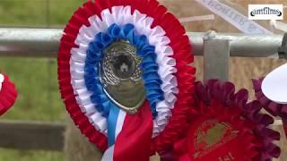 The Reeth Show 2018 Agricultural Show in Upper Swaledale [upl. by Nakre]