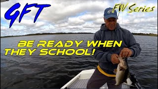 Schooling Fish 101 Tips and Techniques for Success on any Lake [upl. by Iong972]